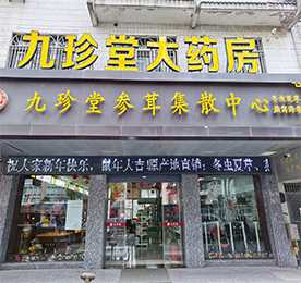 2019年8月，尊龙官方集团与常州九珍堂大药房有限公司签署收购协议。2020年3月1日，尊龙官方集团全面接手常州九珍堂大药房的经营和管理权，标志着尊龙官方集团正式进军医药、滋补养生和医疗器械领域。