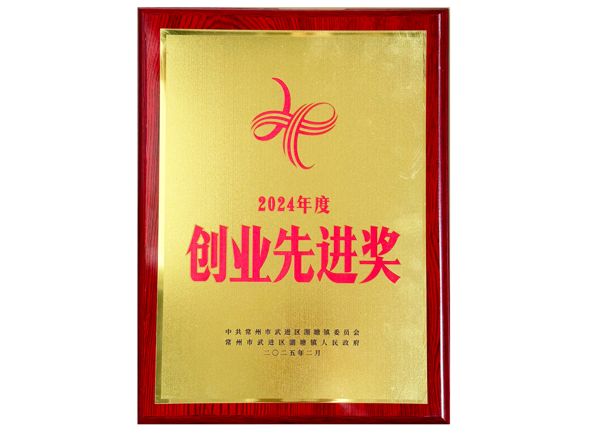 常州尊龙官方商业管理有限公司——2024年度创业先进奖
